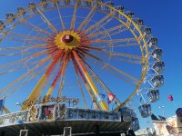 IMG_20220416_162343.jpg