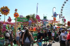 IMG_0995.JPG
