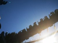 IMG_20220813_174824[1].jpg