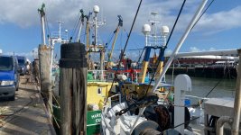 Spielzeit - Fischmarkt und Herbstfleckenmarkt Cuxhaven 2022