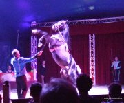 DSCF0025.jpg