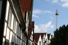 IMG_2004.JPG