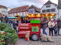 Neustadt an der Weinstraße Weihnachtsmarkt der Kunigunde 2022