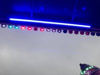31166462_1679960062071835_2438384372823359488_n.jpg