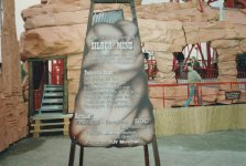 IMG_20230323_0003.jpg IMG_20230323_0003.jpg