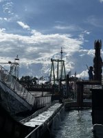 IMG_3336.jpeg