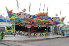 DSC_0303.JPG