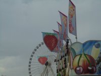 DSC07266.JPG
