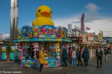 k-IMG_7831.jpg