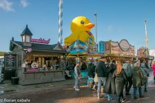 k-IMG_7865.jpg