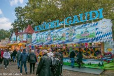 k-IMG_8186.jpg