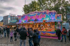k-IMG_8192.jpg