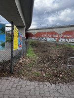 IMG_3507.jpeg