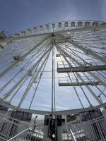 IMG_9390.jpeg