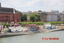 IMG_7953.jpg