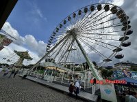 IMG_8034kl.jpg