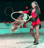 Patricia mit springendem Border-Colie-Hund.jpg