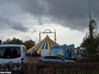 Circusflorida-24-1.jpg