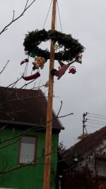 Kerbebaum in Hergenfeld.jpeg
