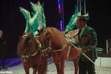 Fantasia-SHOW-2.jpg