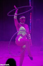 Fantasia-SHOW-19.jpg