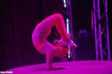 Fantasia-SHOW-40.jpg