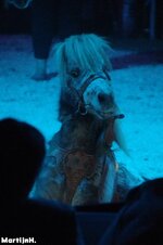 Fantasia-SHOW-48.jpg