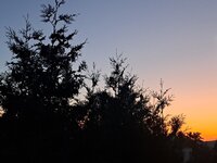 20250629_044354.jpg