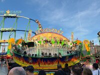 IMG_7331.jpeg