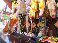 IMG_2892.JPG