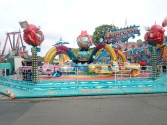 IMG_20250910_114736576.jpg