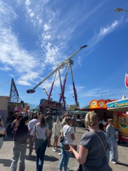 IMG_7333.jpeg