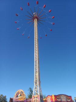 20260430_164932.jpg