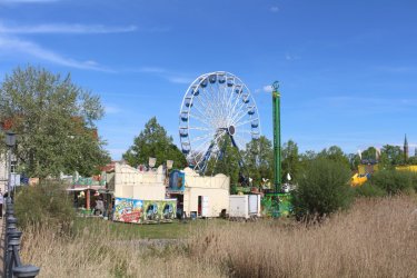 IMG_4666.JPG