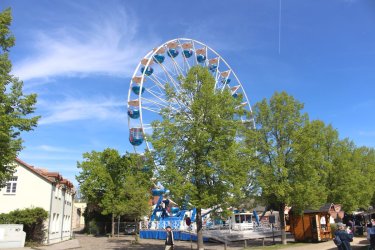 IMG_4684.JPG