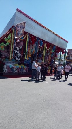 IMG-20260501-WA0095.jpeg