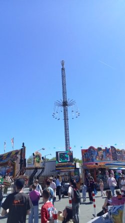 IMG-20260501-WA0092.jpeg