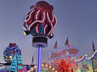 26316.jpg