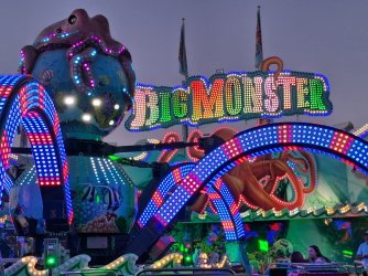 26305.jpg