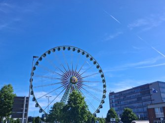 31326.jpg