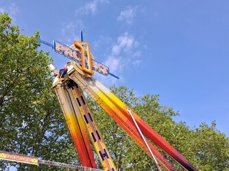 31747.jpg