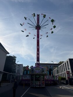 IMG_4230.jpeg