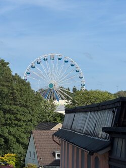 IMG_4238.jpeg