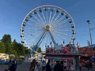 IMG_4304.jpeg