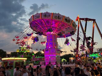 IMG_8173.jpeg
