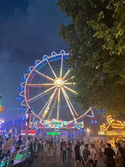 IMG_8219.jpeg