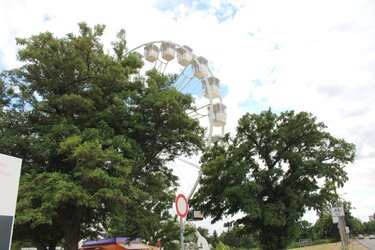 IMG_3767.JPG