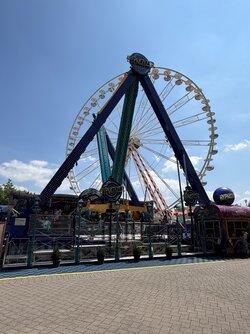 IMG_7940.jpeg