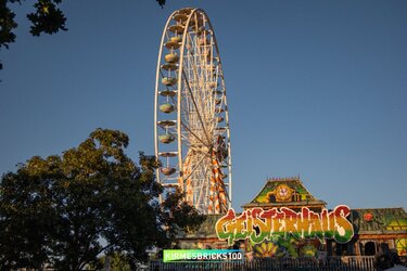 IMG_9566.jpg