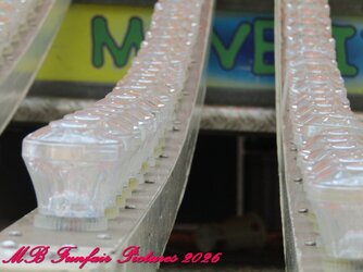 IMG_3497.jpg